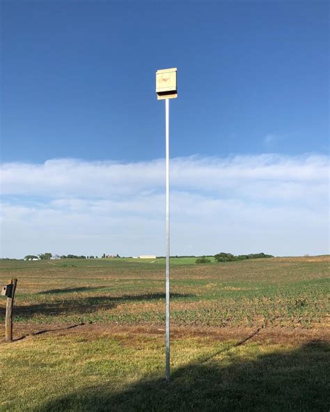 bat house with pole